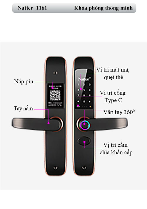 khoa-cua-Natter-1161-hinh-bai-viet-11